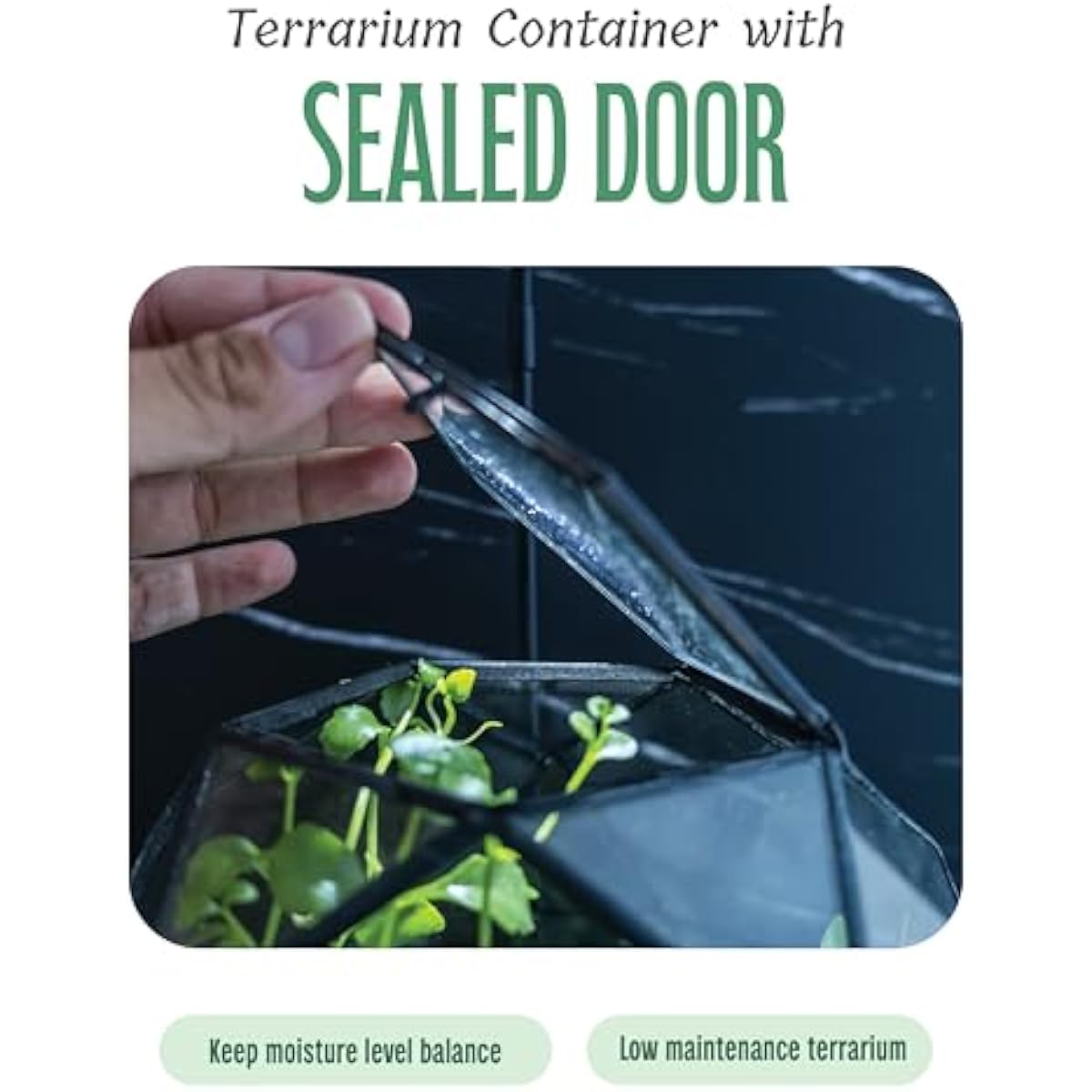 Geometric Sphere Terrarium wit - Glass Door Hinge 评论和价格