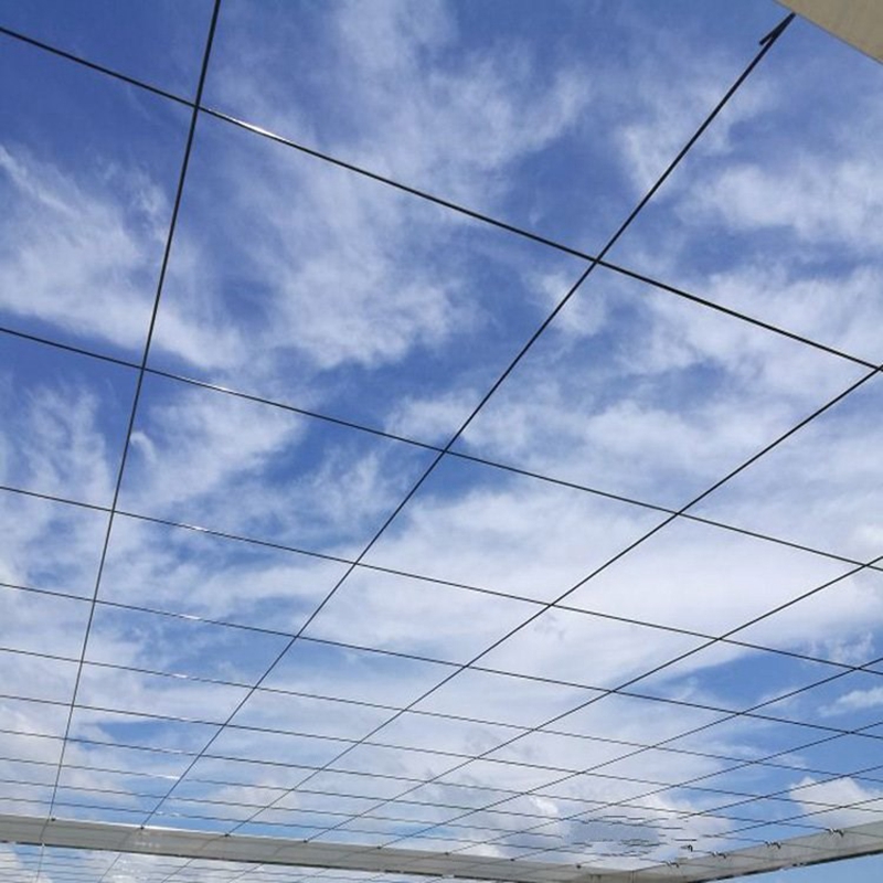 50m Plastic Steel Wire Agricul - Vine Climbing Plastic 评论和价格
