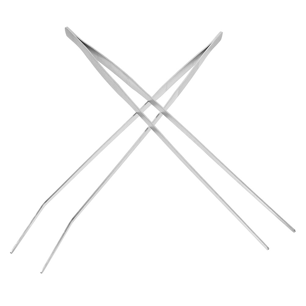 2Pcs Stainless Steel Reptile F - Feeding Tong Stainless 评论和价格