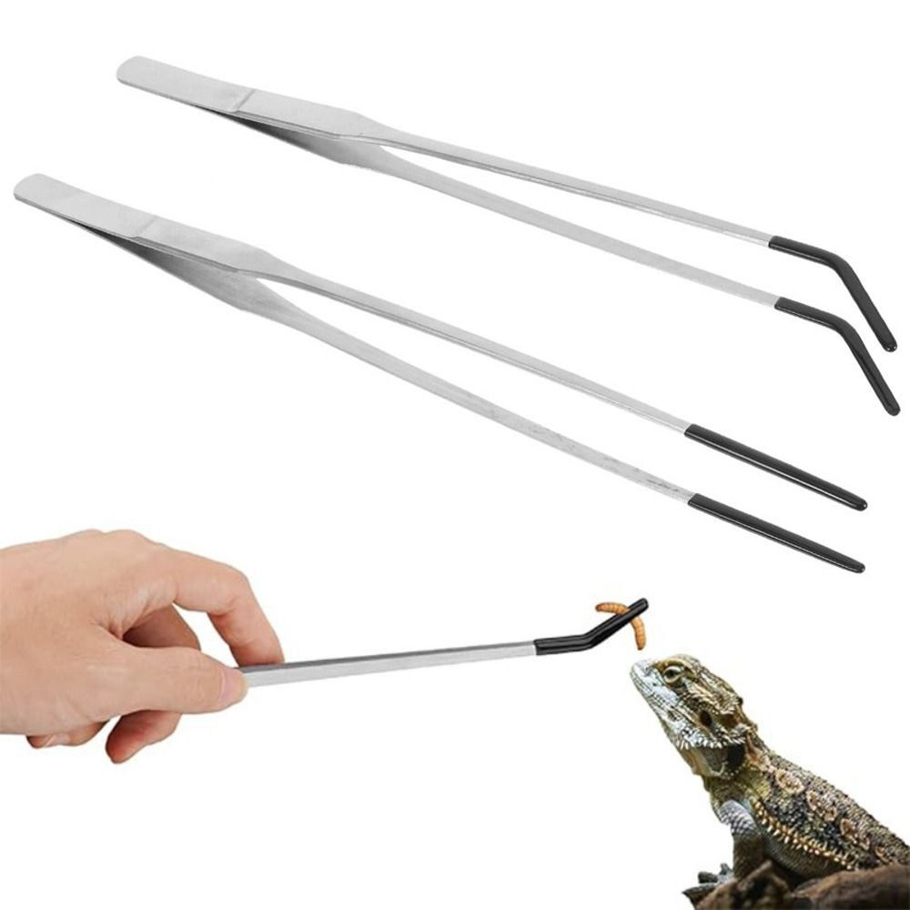 2Pcs Stainless Steel Aquarium  - Feeding Tong Stainless 评论和价格